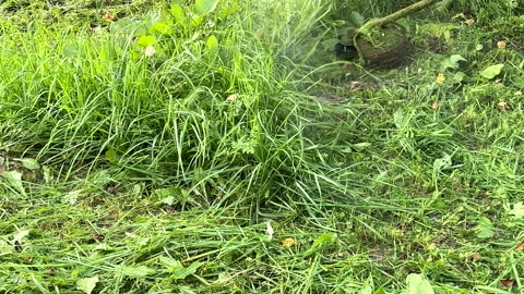 Gardener mows weeds grass. Man cutting grass in yard by using string trimmer. Stock Footage 251469953