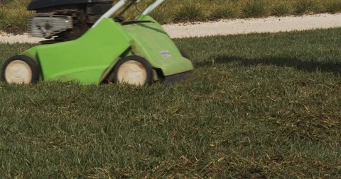 Gardener operating scarifying machine in grass lawn (C) Stock Footage 103710738