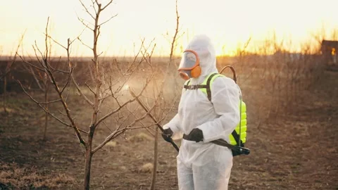 A gardener performs organic spraying of fruit trees in the spring at sunset. Stock-Footage 248005538