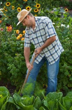Gardener Stock Photos
