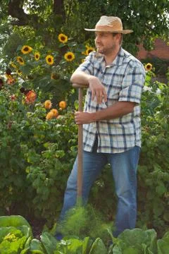 Gardener Stock Photos