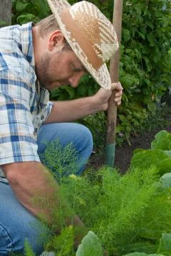 Gardener Stock Photos