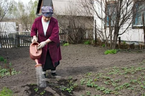 The gardener Foto stock
