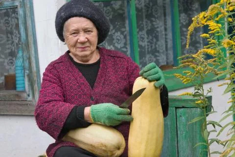 The gardener 스톡 사진