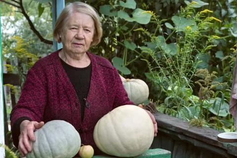 The gardener Foto stock