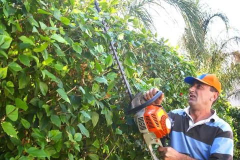 Gardener Stock Photos