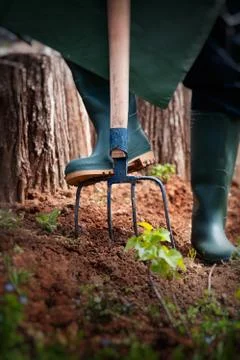 Gardener Stock Photos