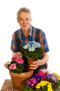 Gardener Stock Photos