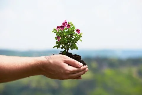 Gardener Stock Photos