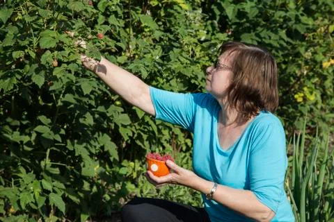 Gardener 스톡 사진