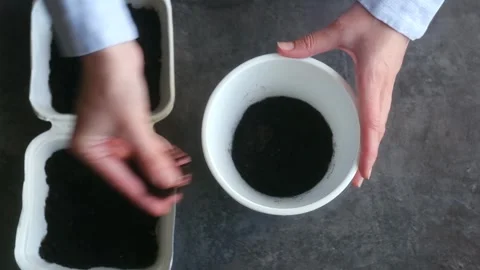 Gardener picking soil to prepare potting mix for repotting Stock Footage 296550692