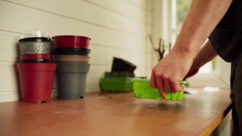 Gardener Prepares Rectangular Plastic Pot For Planting In Greenhouse. Video stock 271230571