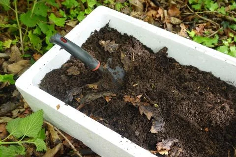Gardener preparing potting compost with leaf mold in polystyrene box Stock Photos