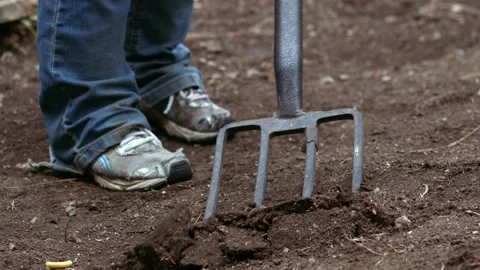 Gardener preparing soil with fork for growing plants Stock Footage 234433688