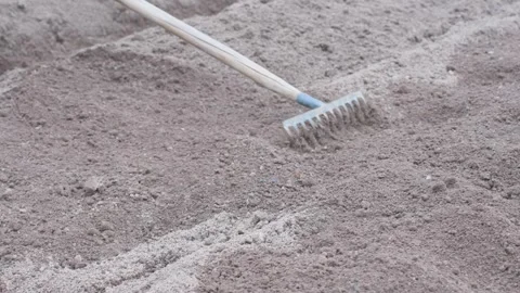 Gardener Preparing Soil with a Garden Rake Stock Footage 309530646