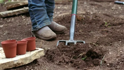 Gardener preparing soil for growing plants Stock Footage 233728445