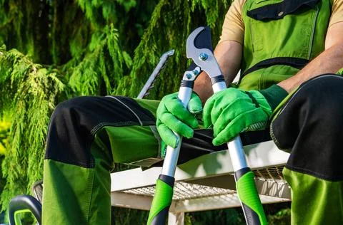 Gardener preparing to trim trees with pruning tools in the garden Stock Photos