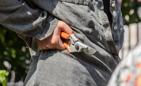 Gardener preparing for work with pruning shears tucked in pocket in a sunny.. Stockfoto's
