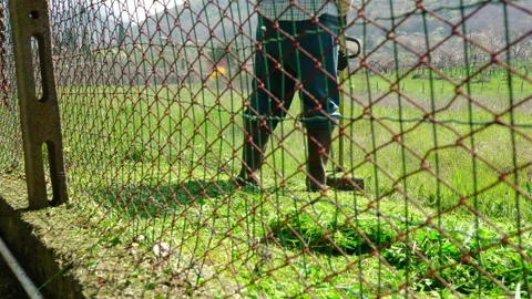 Gardener in protective working clothes and rubber boots mowing fresh grass Stock Footage 155804821