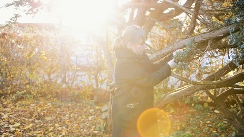 Gardener prunes tree with sharp pruning scissors in autumn Stock Footage 98557859