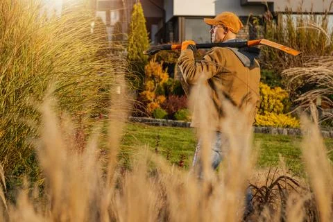 Gardener With Pruning Tools Tending to Backyard During Golden Hour Stock Photos