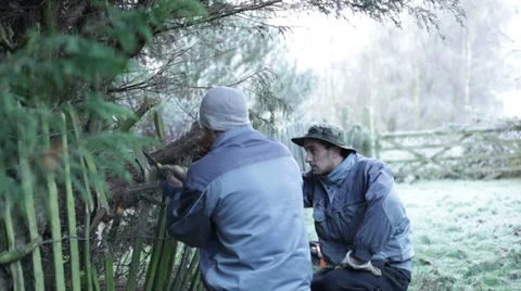 Gardener pruning tree with hand saw 库存影片 33979919