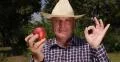 Gardener Public Presentation Recommend Peach Fruit Good Harvest Autumn Season 4k or 4k+ Resolution