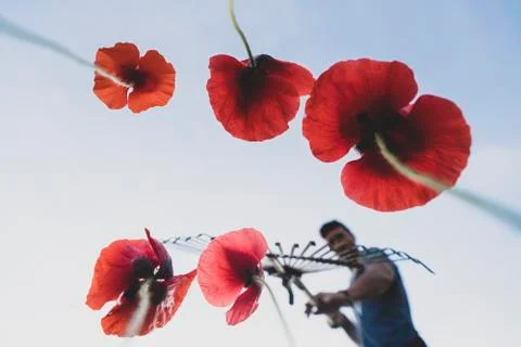 Gardener with rake Stock Photos