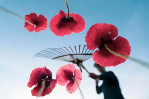 Gardener with rake Stock Photos