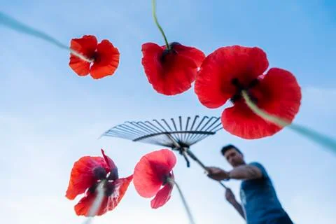 Gardener with rake Stock Photos