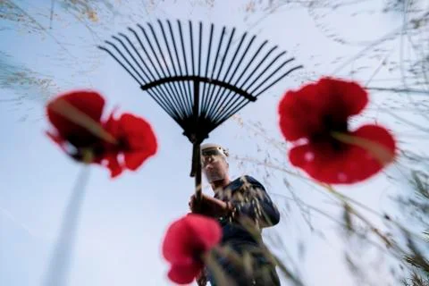 Gardener with rake 库存照片