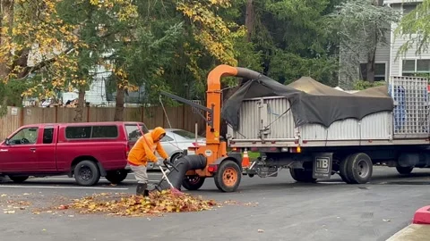 Gardener remove fallen leaves from the yard to composting machine. Vacuum leaves Stock Footage 255263314