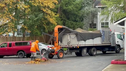 Gardener remove fallen leaves from the yard to composting machine. Vacuum leaves Stock Footage 271290451