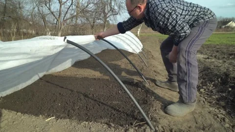 A gardener sets up a protective cover on a mini greenhouse in the garden, using Stock Footage 331316934