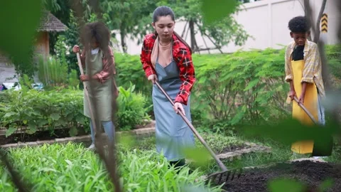 Gardener shoveling the soil in the agricultural plot Stock Footage 208396183
