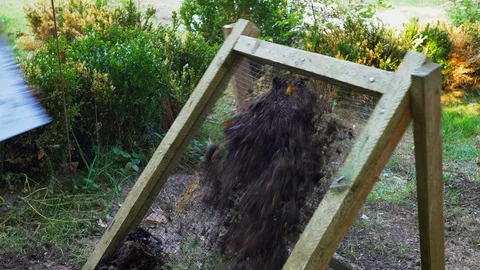 Gardener sieving compost Stock Footage 127251143