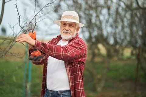 Gardener standing, looking at camera. Stock Photos
