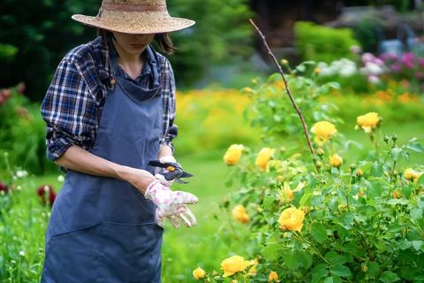 Gardener in a straw hat. Stock Photos