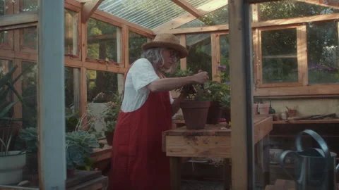 Gardener tending to potted plants inside a greenhouse on a sunny day Stock Footage 319942879