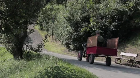 Gardener on the tractor Stock Footage 41339036