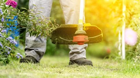 Gardener with trimmer in garden plot Stock-Fotos