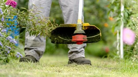 Gardener with trimmer in garden plot Stock-Fotos