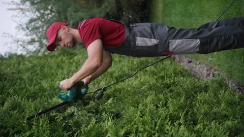 Gardener trimming hedge using electric hedge trimmer Stock Footage 289828596