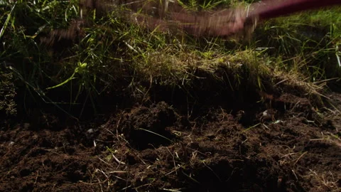 Gardener Turning Dark Soil with Hand Fork in Sunny Grass Border Stock Footage 342074873