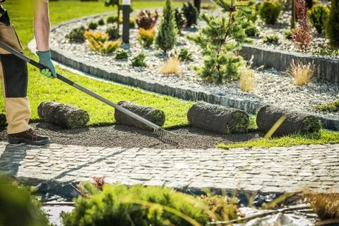 A Gardener Uses a Rake to Level Soil While Laying Rolled Sod in a Vibrant G.. Foto stock