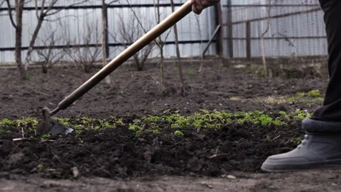 A gardener uses a sharp hoe to cultivate the soil of a small vegetable bed, Stock-Footage 339790342