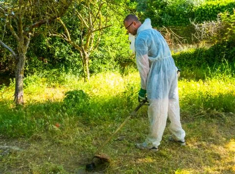 Gardener using brush cutter Stock Photos
