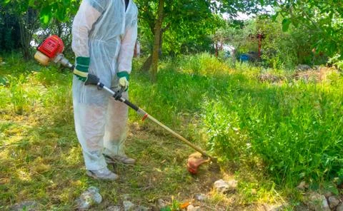 Gardener using brush cutter Foto stock