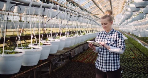 Gardener using digital tablet at greenhouse 스톡 동영상 127010055