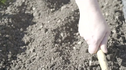 Gardener using a garden hoe to prepare the soil in the high garden bed Stock Footage 157600720